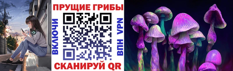 Галлюциногенные грибы GOLDEN TEACHER  купить   Алейск 