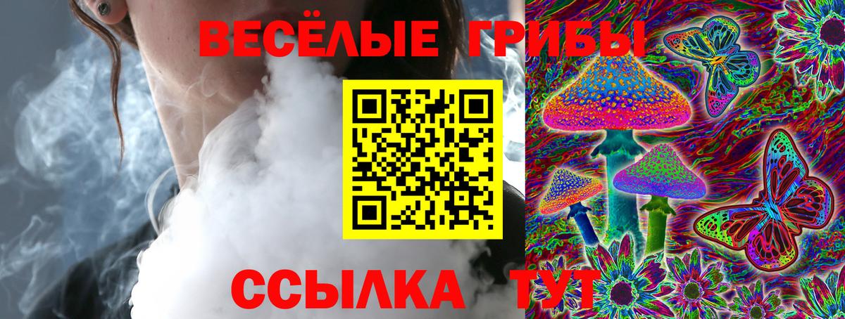 Галлюциногенные грибы мухоморы Алейск