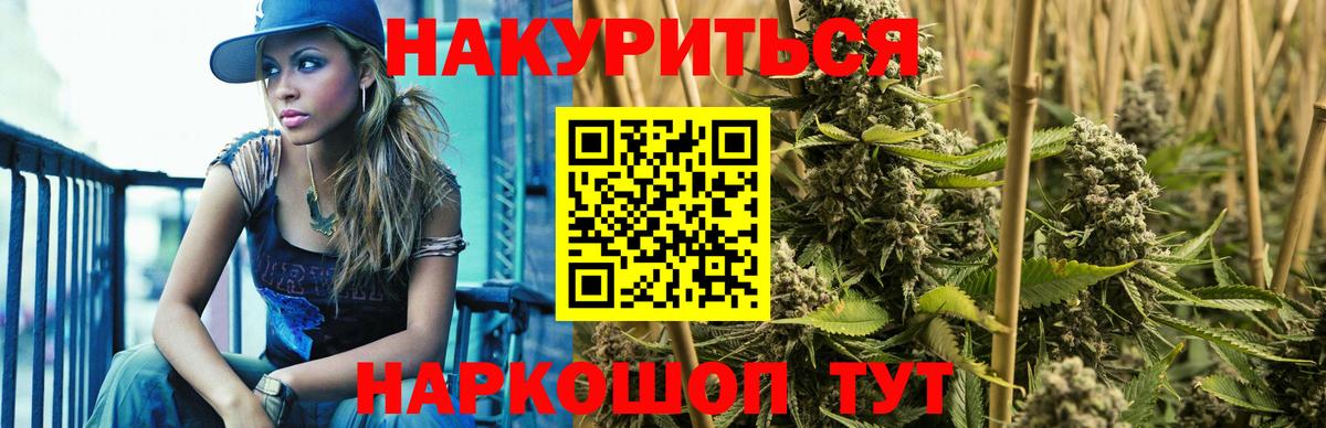 Конопля гибрид Алейск