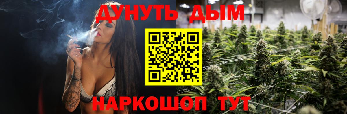 МАРИХУАНА SATIVA & INDICA  Бошки марихуана White Widow  Алейск  Канабис план  Бошки марихуана Amnesia 